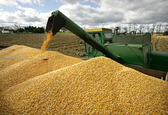 Cae en más de $us 520 millones la exportación de soya y sus derivados al tercer trimestre del año, según el INE