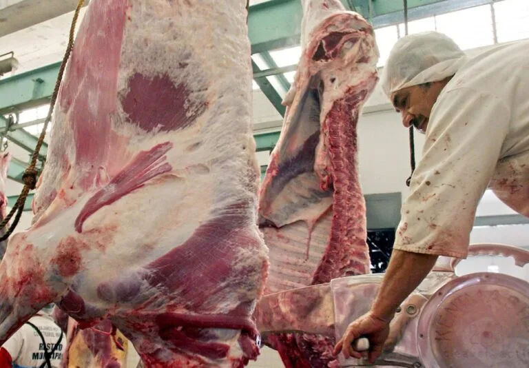 El veto a las exportaciones de la carne responde a un modelo fracasado que debilita a la economía boliviana