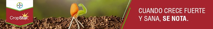 CropStar