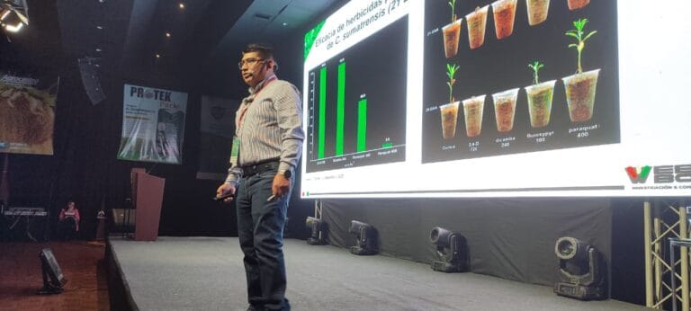 Amaranthus es la maleza que más amenaza al cultivo de soya en Santa Cruz