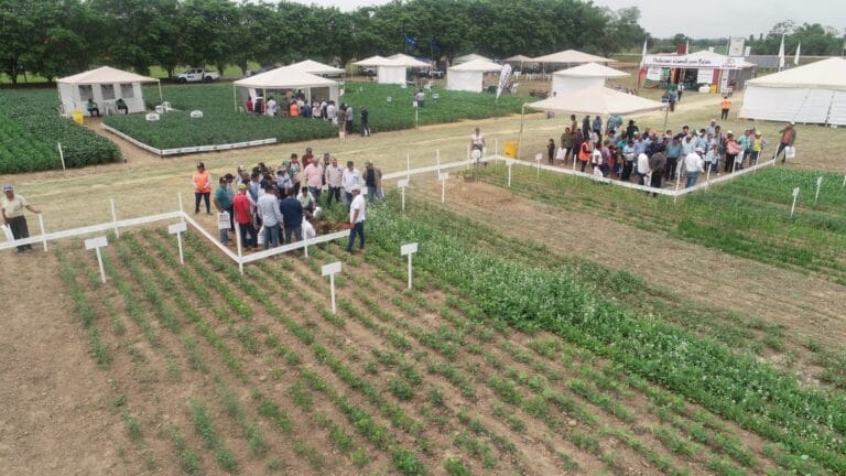 Alrededor de 30 empresas mostrarán sus últimas tecnologías en la Exposoya del Norte 2025