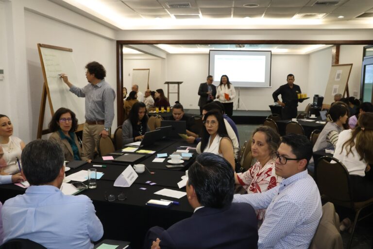 Ministerio de Planificación y PNUD afinan aportes que serán incluidos al eje ambiental del PDES