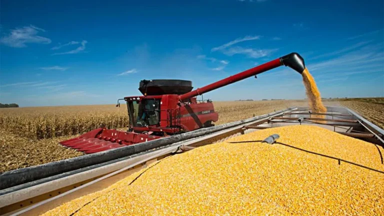 El Gobierno de Argentina anunció una nueva baja de retenciones a las exportaciones de granos