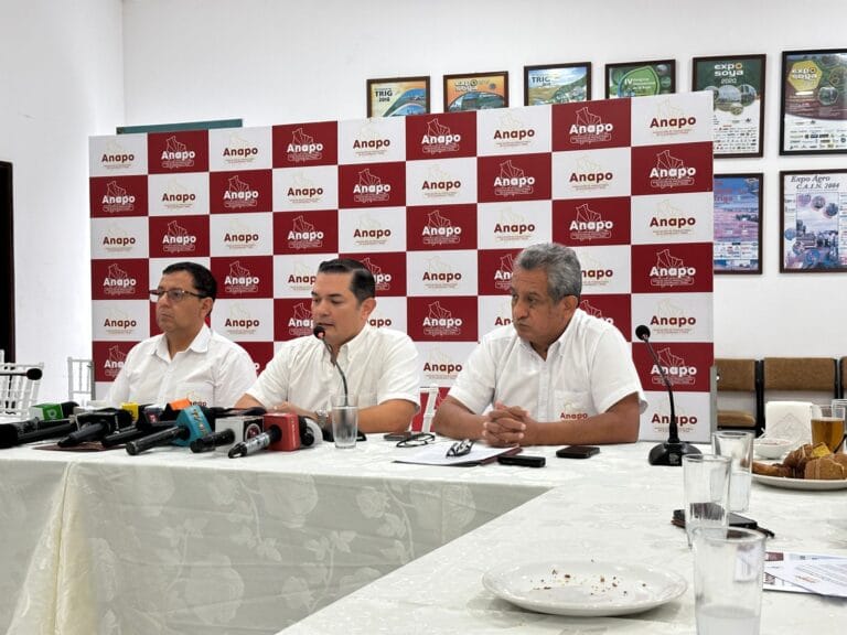 Producción de granos en 2025 alcanza 5,6 millones de toneladas y registra un incremento del 91% respecto a 2024