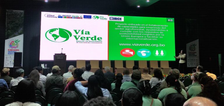 Vía Verde impulsa una nueva forma de exportar hacia Europa con sostenibilidad y competitividad