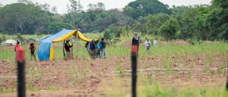 “Hay una lista de más de 100 predios avasallados”, señala abogado y anuncia que “en las próximas horas” se iniciarán los desalojos