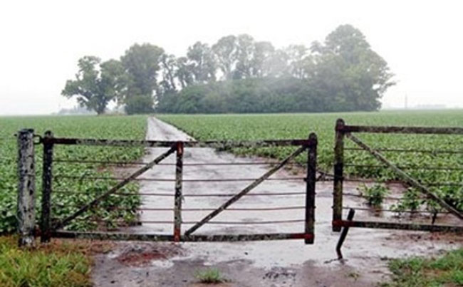 Semana lluviosa, vientos variables y altas temperaturas