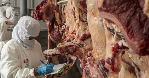 Exportaciones de carne de res marcan récord de $us 203 MM en 2025