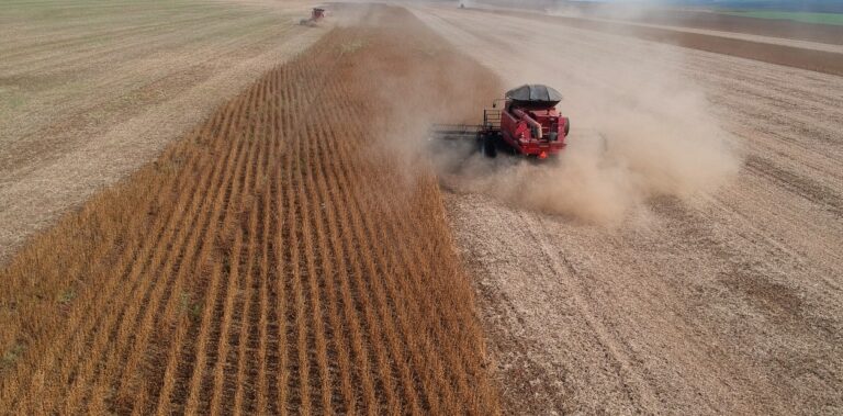 La cosecha de granos de Brasil supera todos sus récords históricos