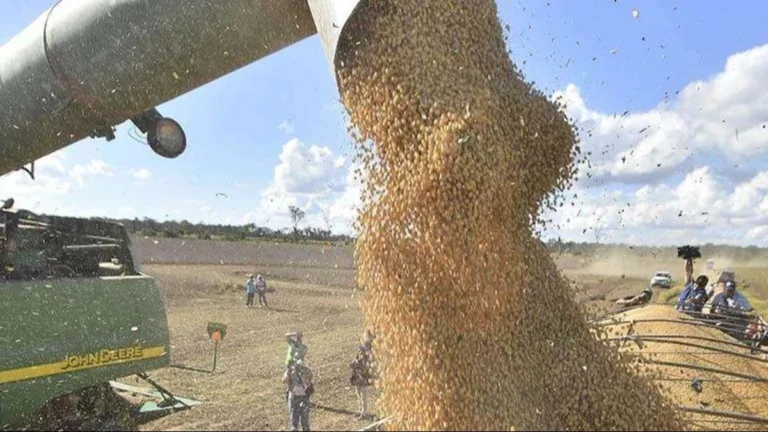 Productores rechazan arancel cero a la soya y exigen diálogo al Gobierno