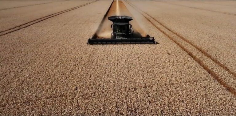 Conflicto bélico y bioeconomía: nueva oportunidad para Argentina