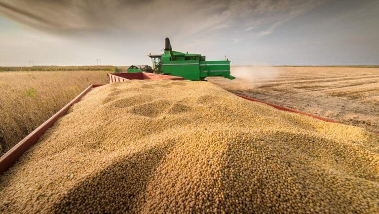 La cosecha estadounidense y el fenómeno de El Niño aumentan la incertidumbre para la soja