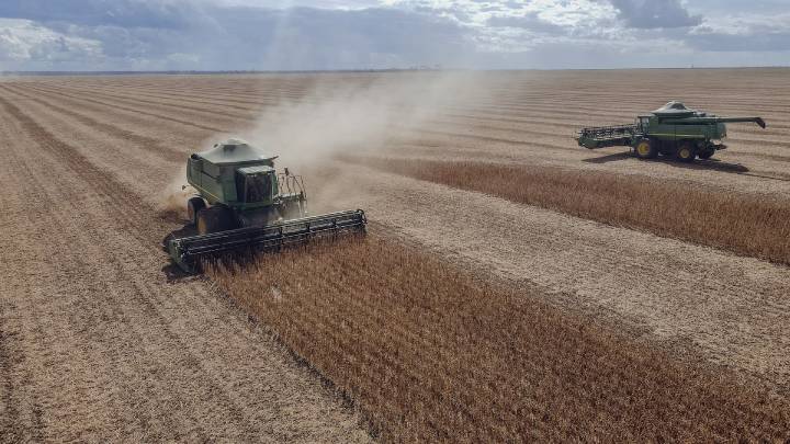 Paraguay cierra una campaña récord de soja y pone el foco en la productividad para 2026/27