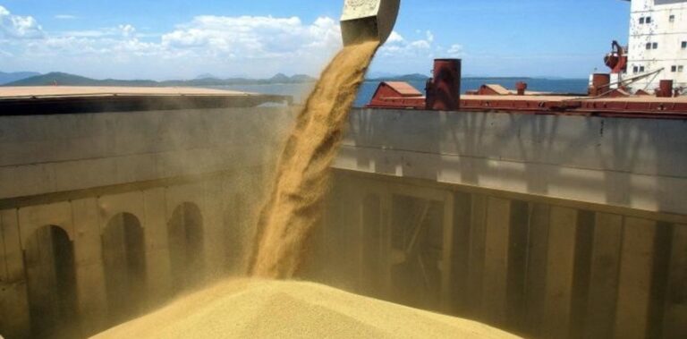La soja mantiene el impulso y China vuelve a fortalecer las perspectivas del mercado