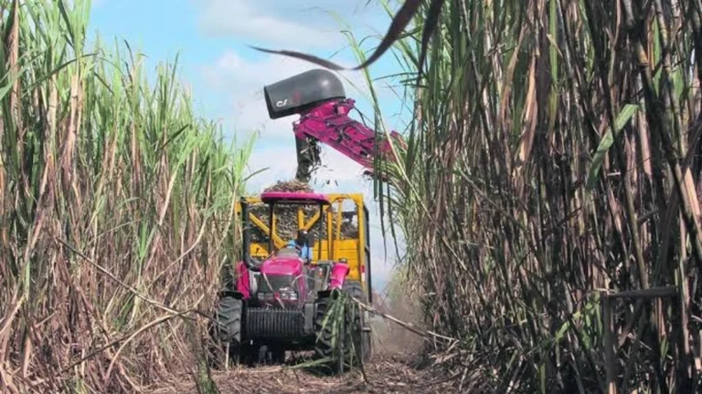 Los sectores de infraestructura y agropecuario serán los mayores beneficiarios con la inversión pública del PGE 2027