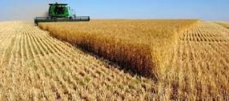 Exportaciones de Uruguay crecerían un 5% en este 2026 según datos presentados por la CEPAL